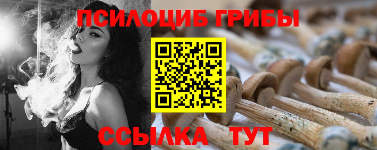 Галлюциногенные грибы мухоморы Южно-Сахалинск